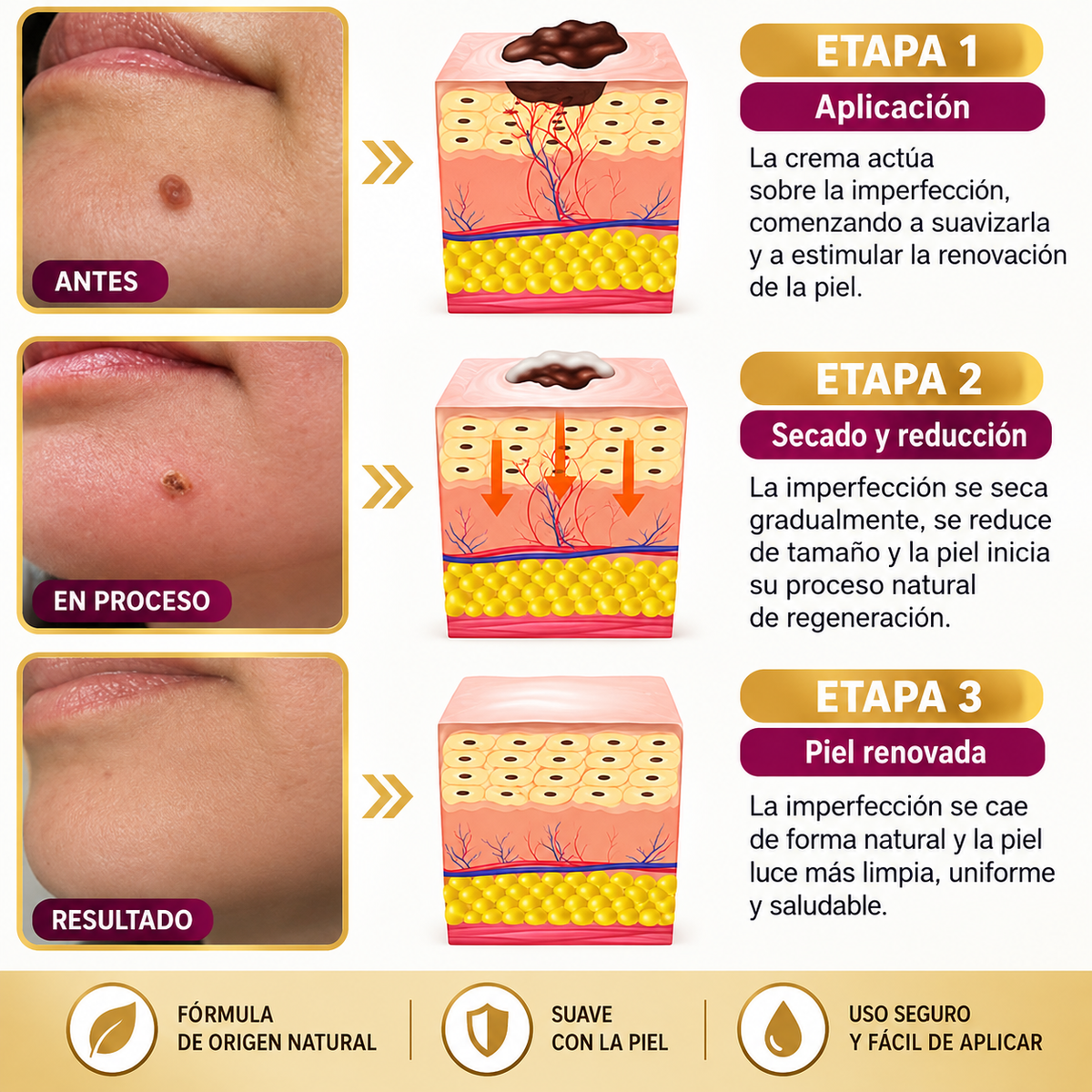 Crema Reparadora con Veneno de Abeja 60 g